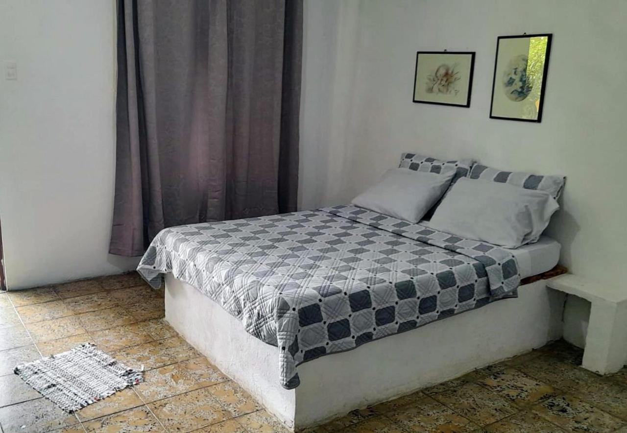 Rooms Palmeras Cahuita Ngoại thất bức ảnh