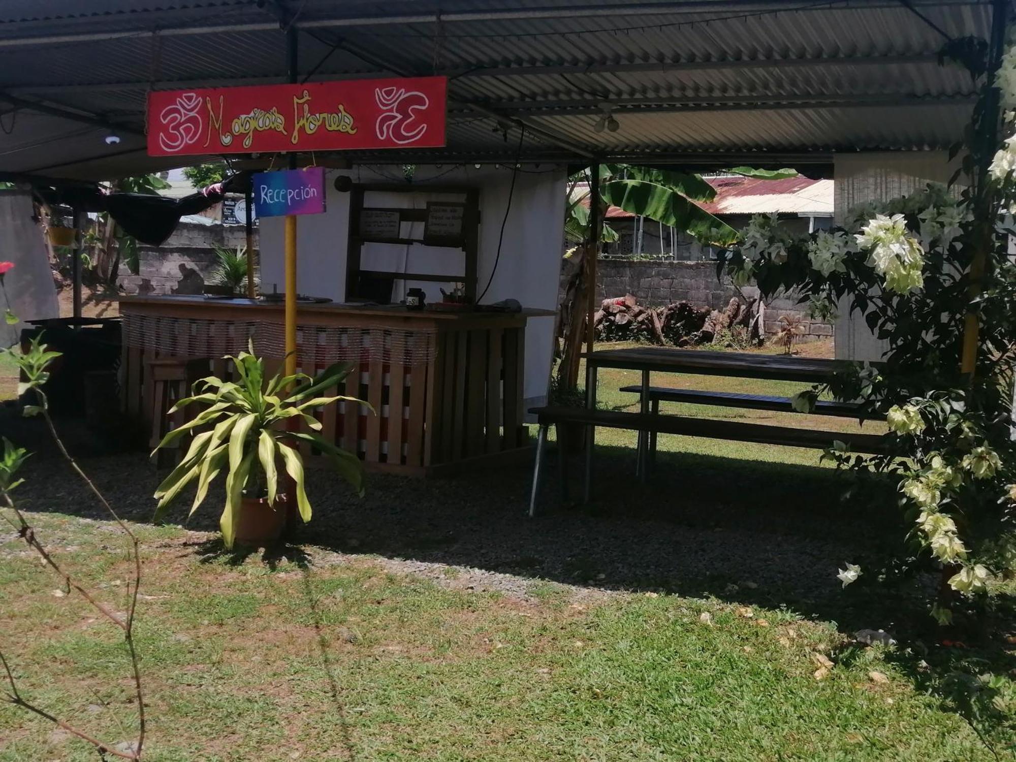 Rooms Palmeras Cahuita Ngoại thất bức ảnh