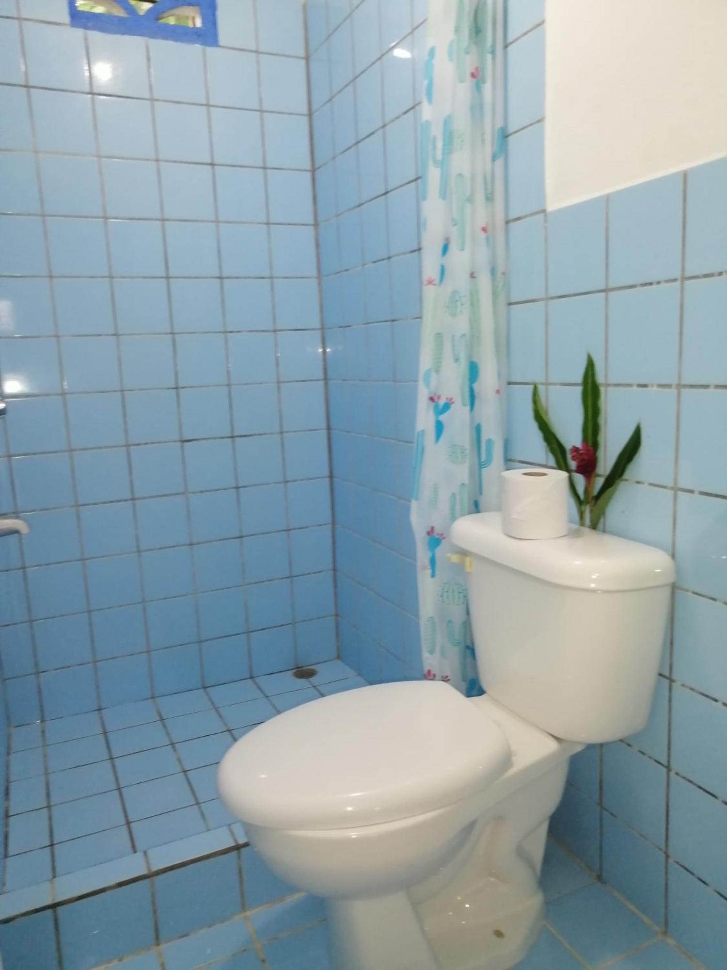 Rooms Palmeras Cahuita Ngoại thất bức ảnh
